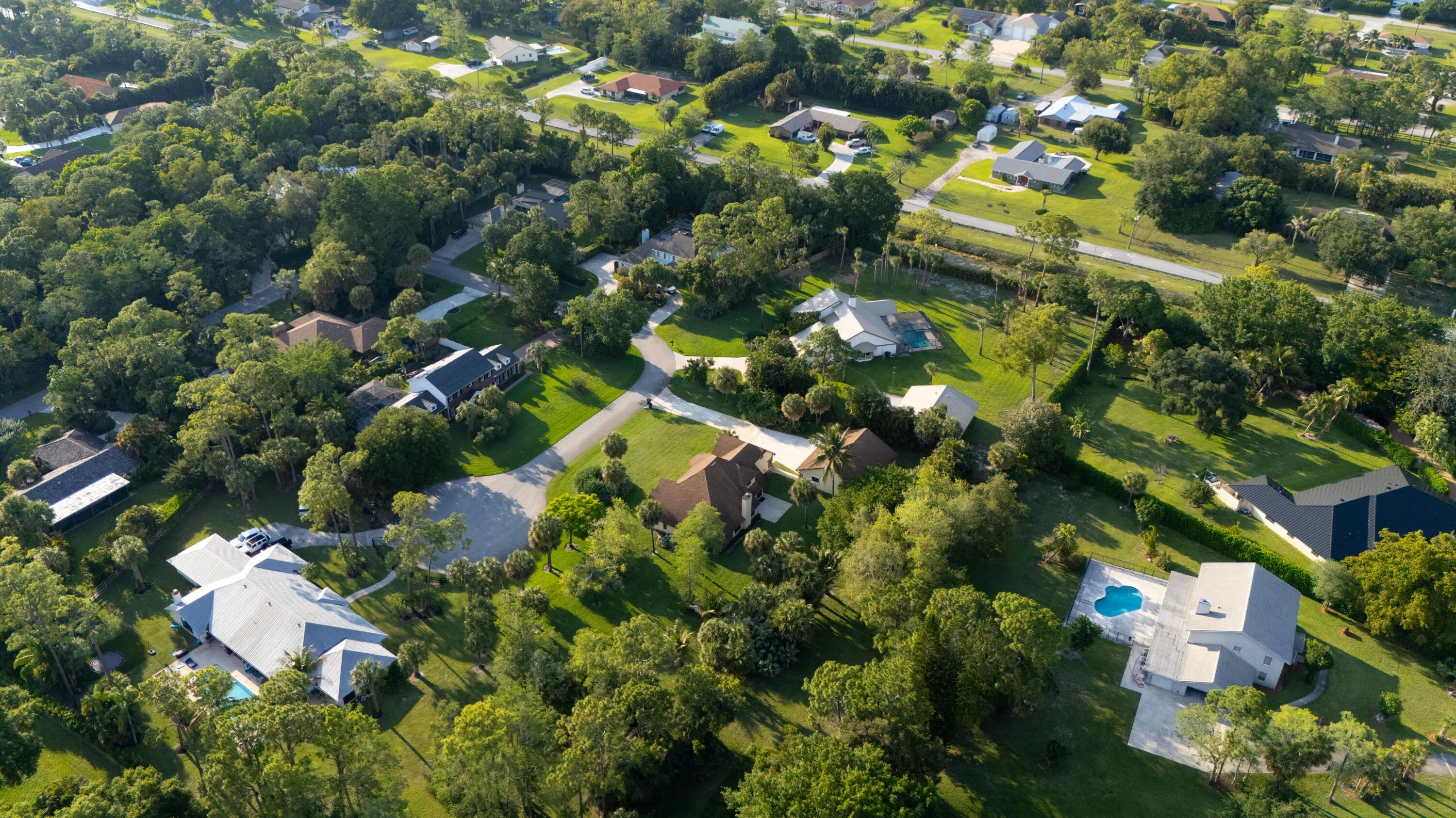 Aerial 5