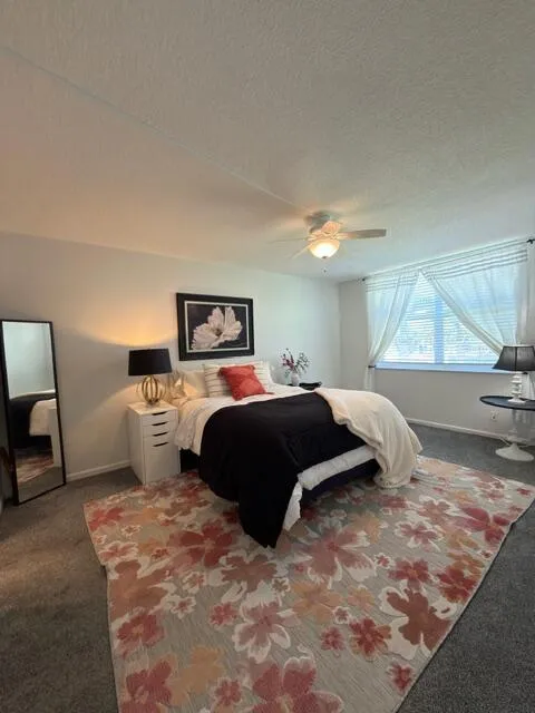 12_Primary_bedroom_window_faces_south