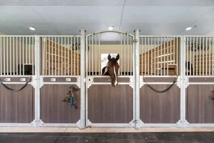 1464 Stallion Dr Loxahatchee-print-089-1