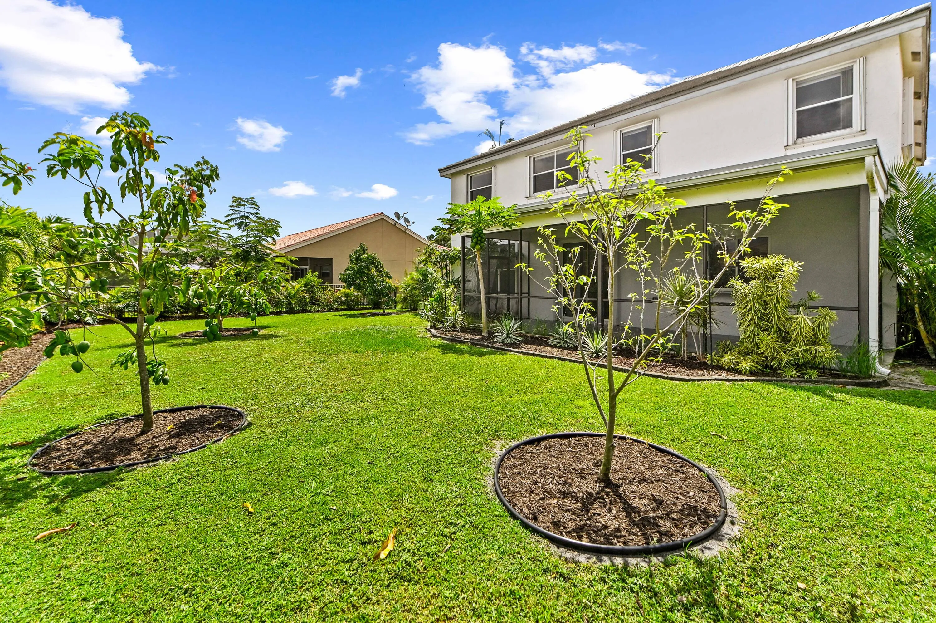 32 backyard 01