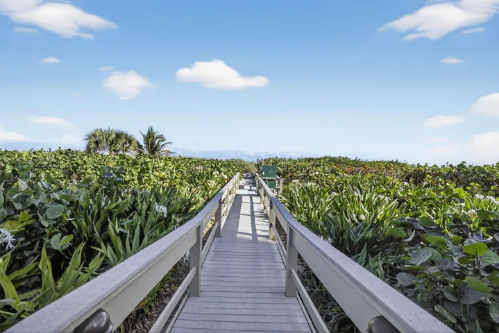 Boardwalk