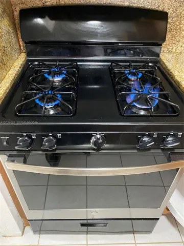 Gas Stove