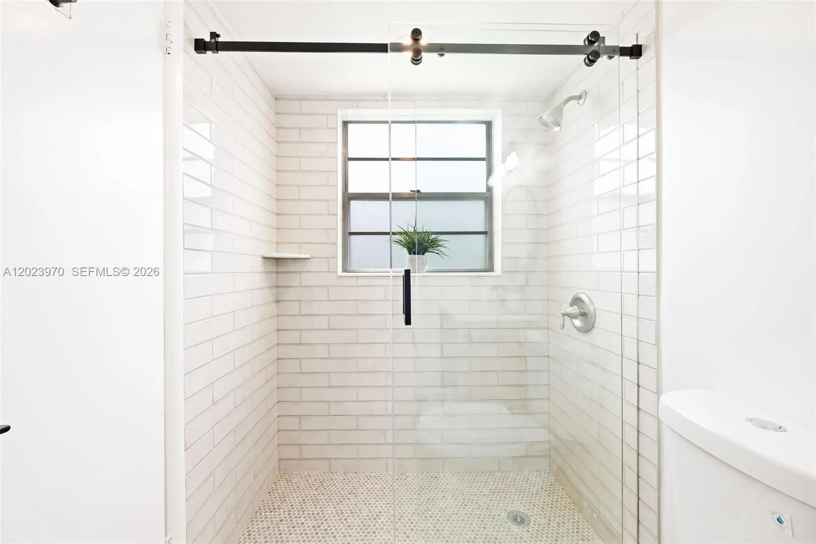 Modern Primary Shower