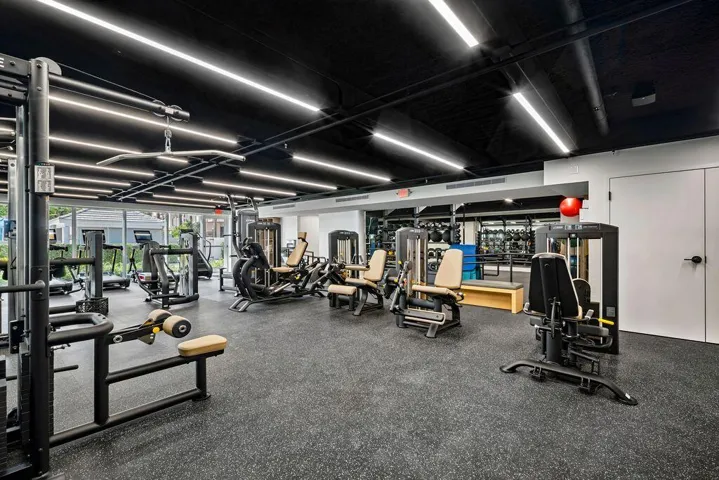 Gym new