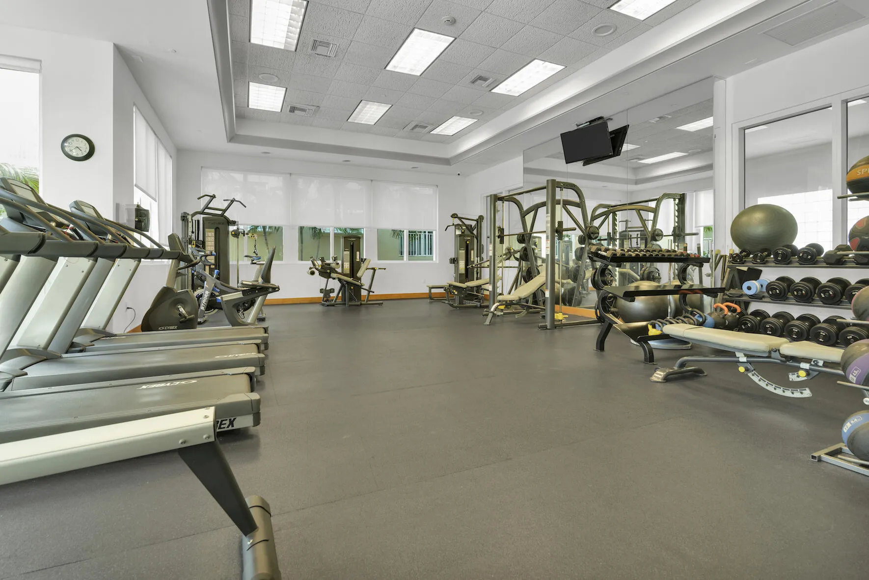 GYM