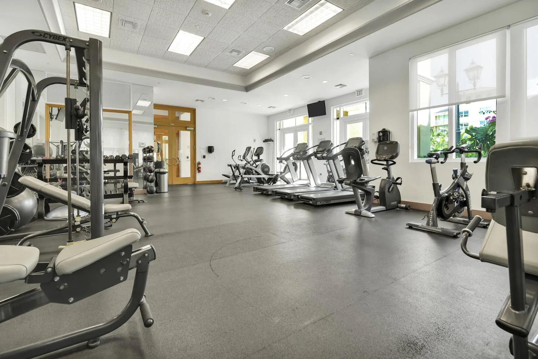 GYM