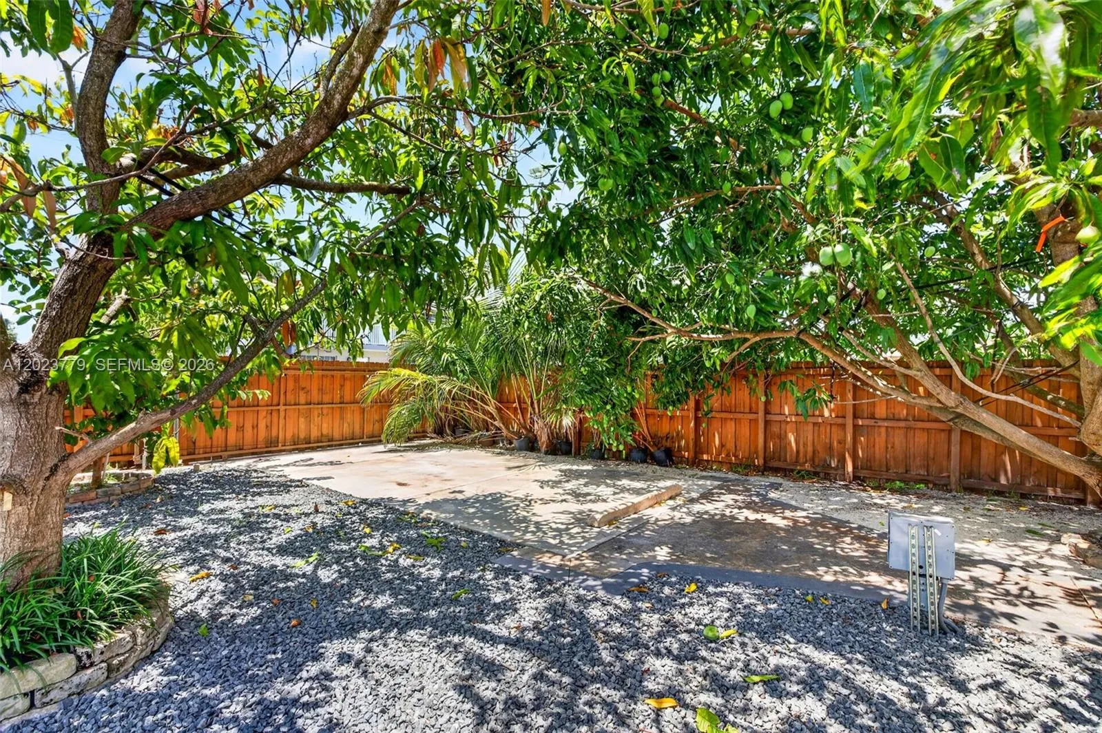 Backyard driveway w/ large mature fruit trees, electric back gate