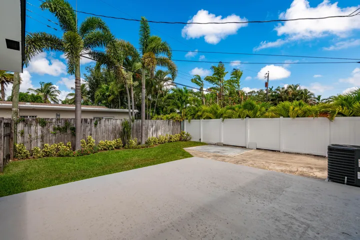 Back yard