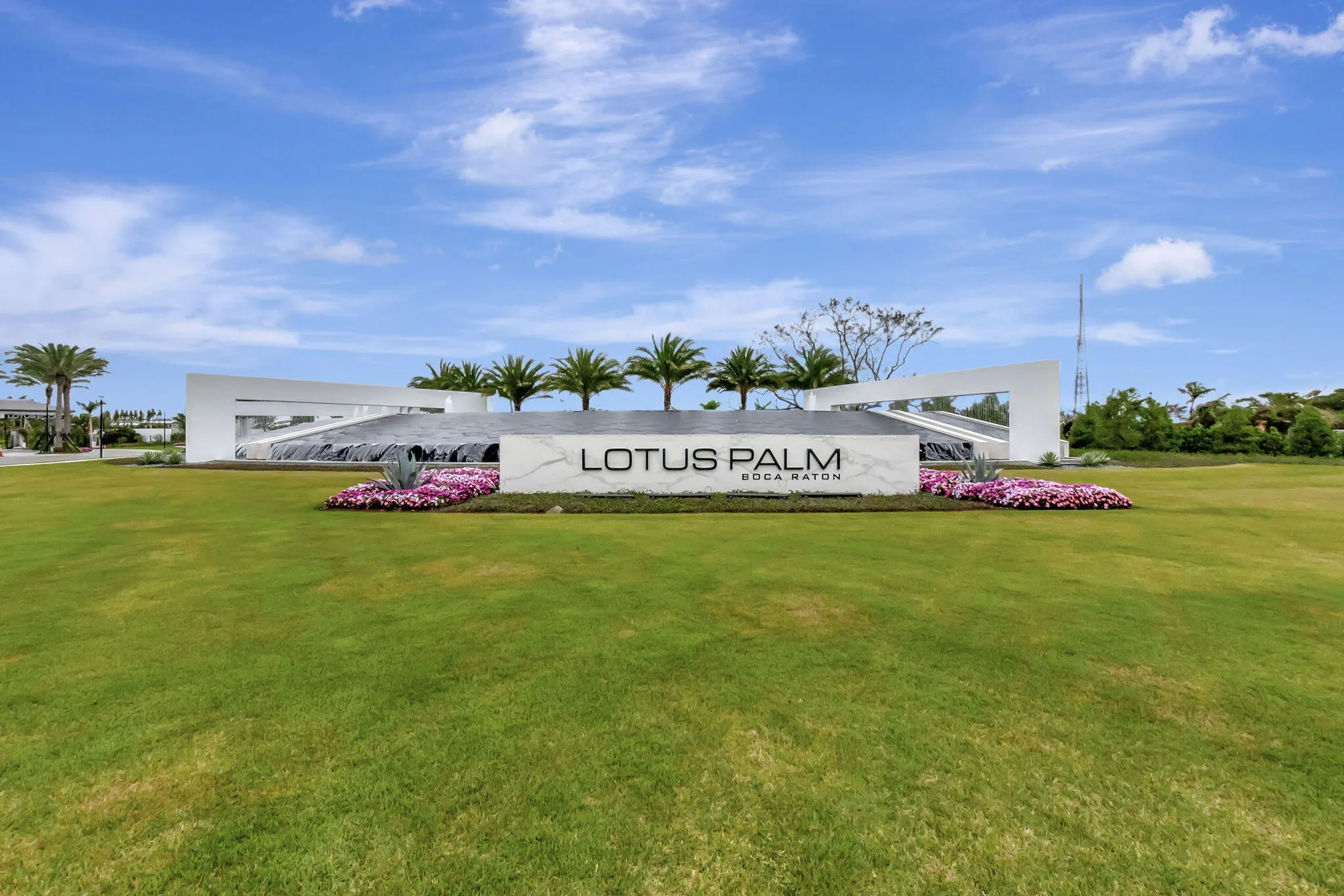 Lotus Palm