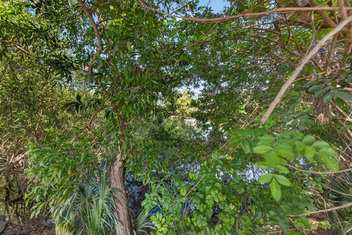 67-web-or-mls-5D1A9227
