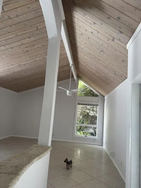 image11