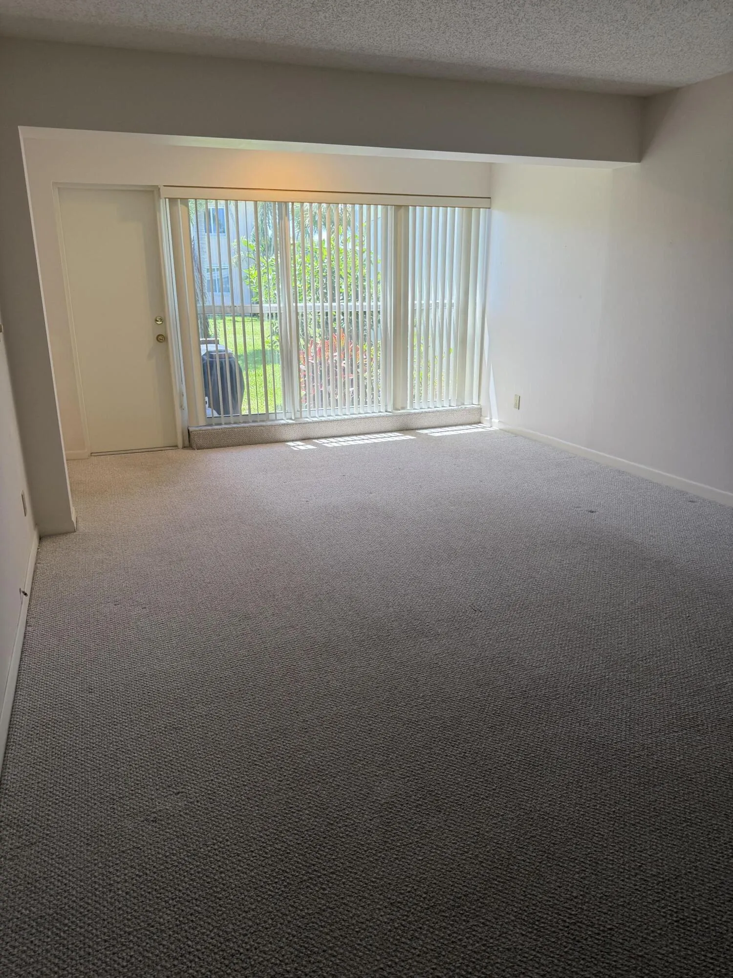 LR-actual with freshly cleaned carpets