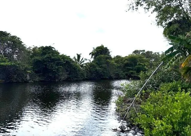 water
