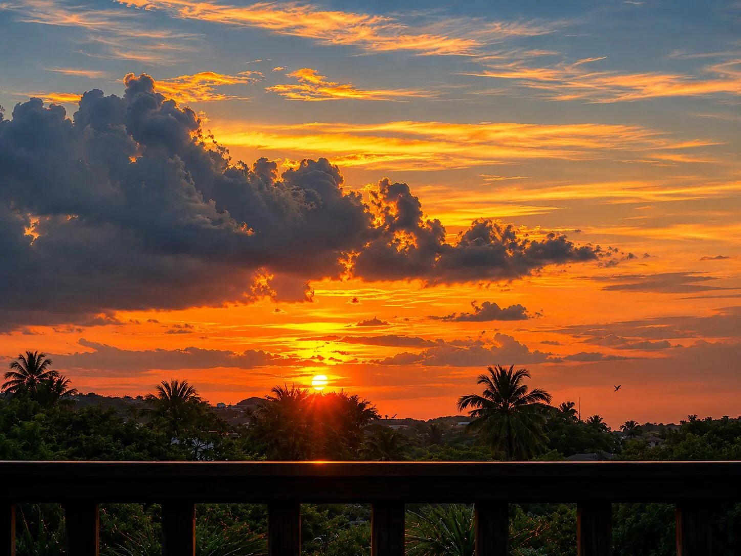 sunset views