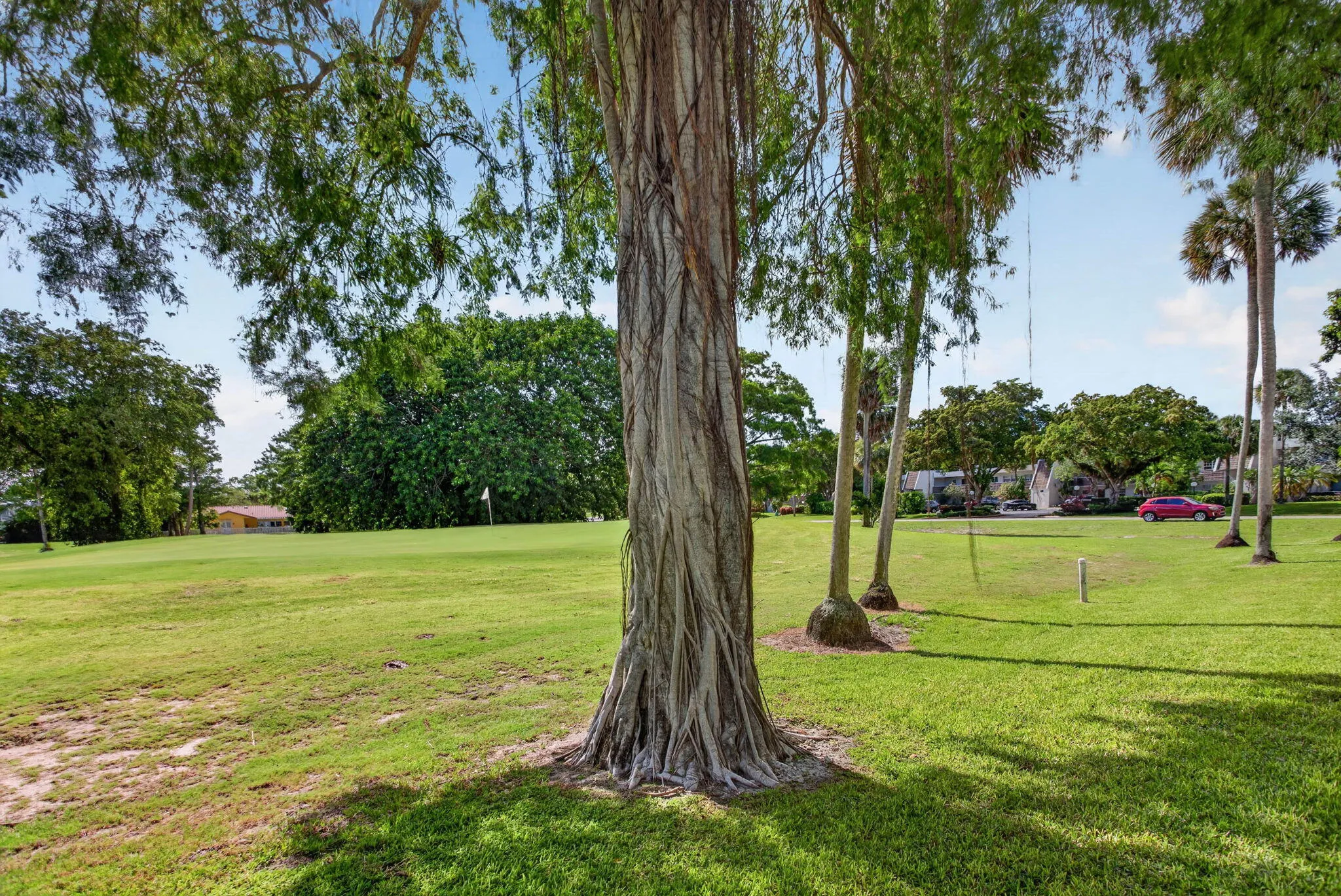 31-web-or-mls-901-5873