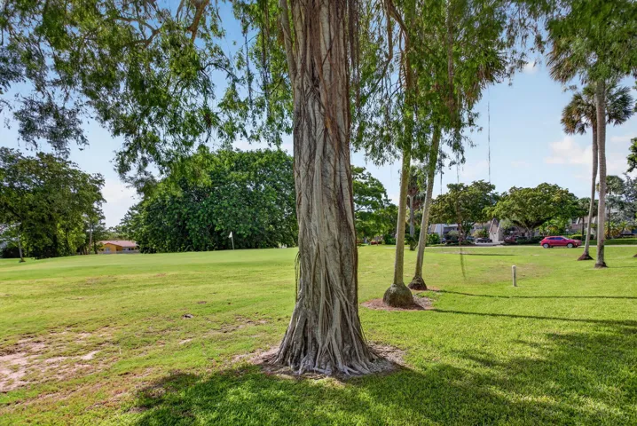 31-web-or-mls-901-5873