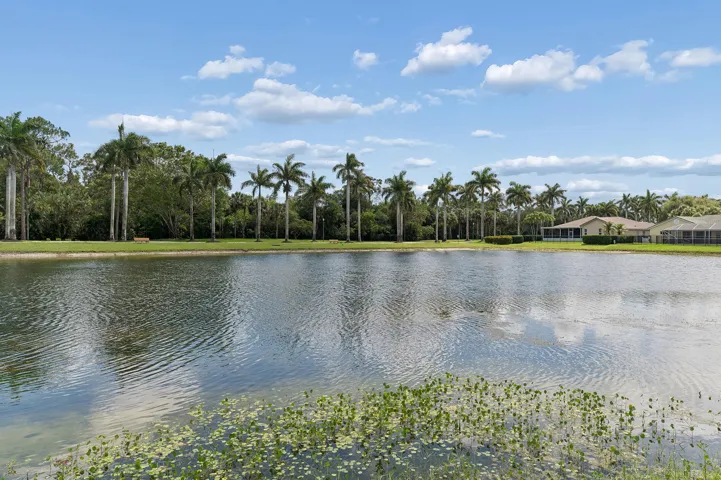 Lakeview from Pool