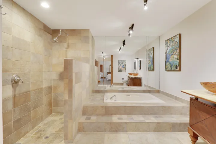 Walk In Shower in Master