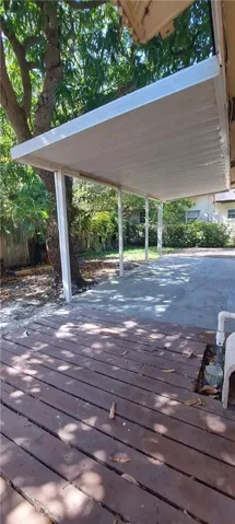 back yard