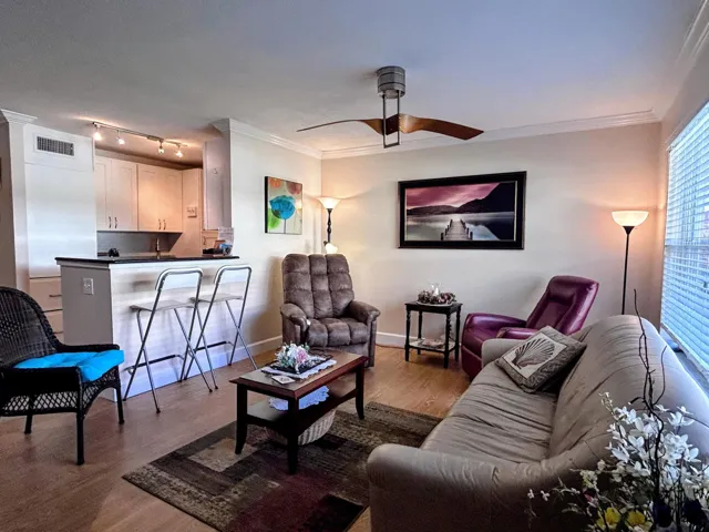 Fully furnished 1/1, living room