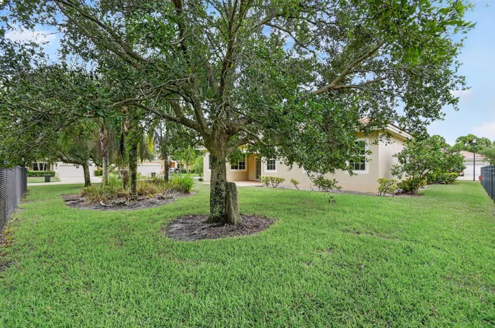 Backyard View