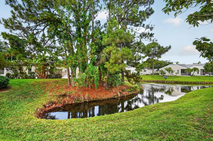 Back Yard/Water View
