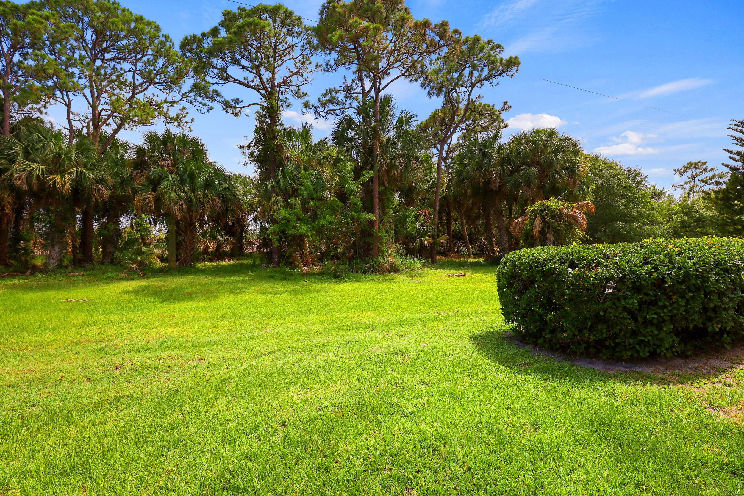 Property photo 49
