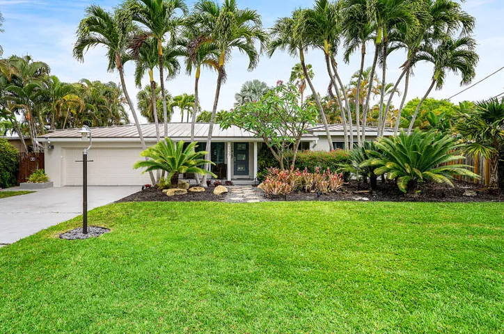 Tropical front yard