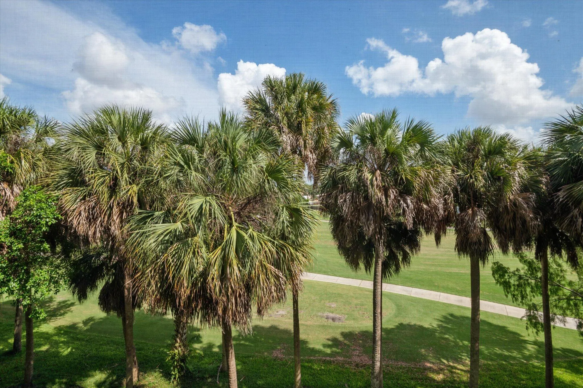 View from Primary Bedroom