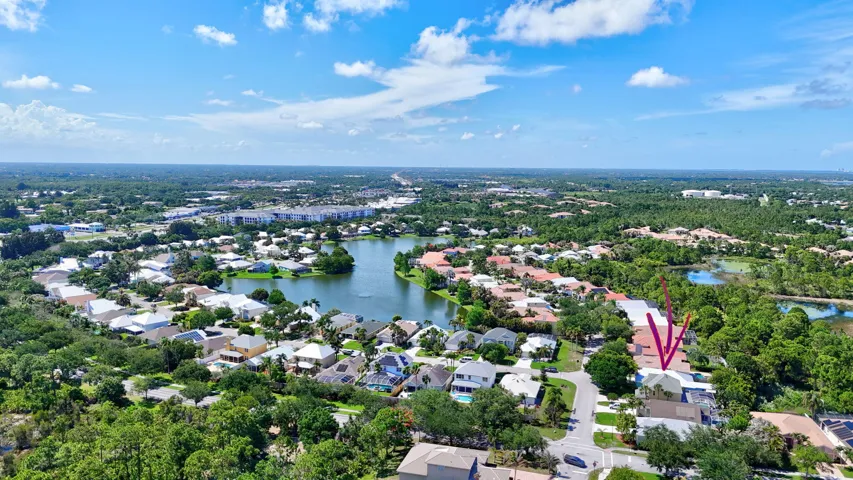 Drone View