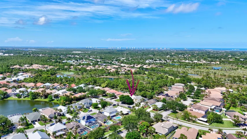 Drone View