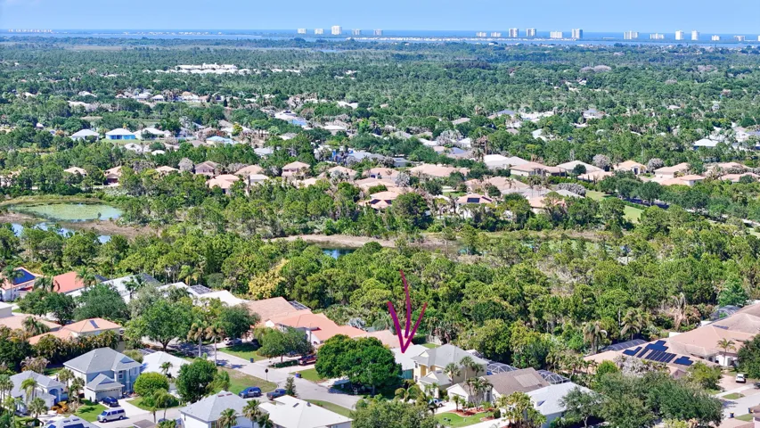 Drone View