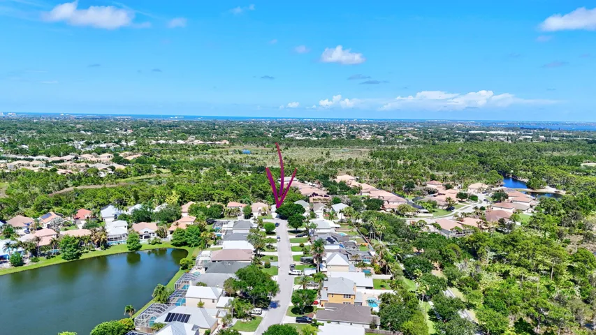 Drone View