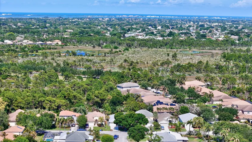 Drone View