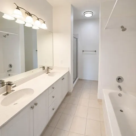 Master bathroom Shower & Tub