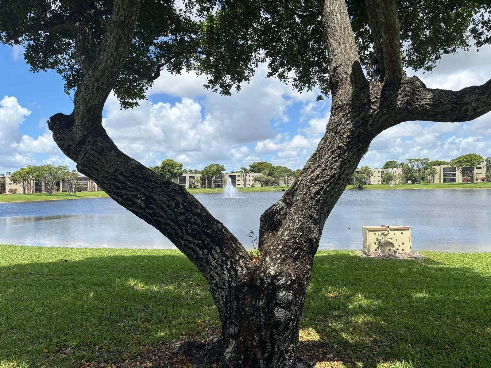 Lake view