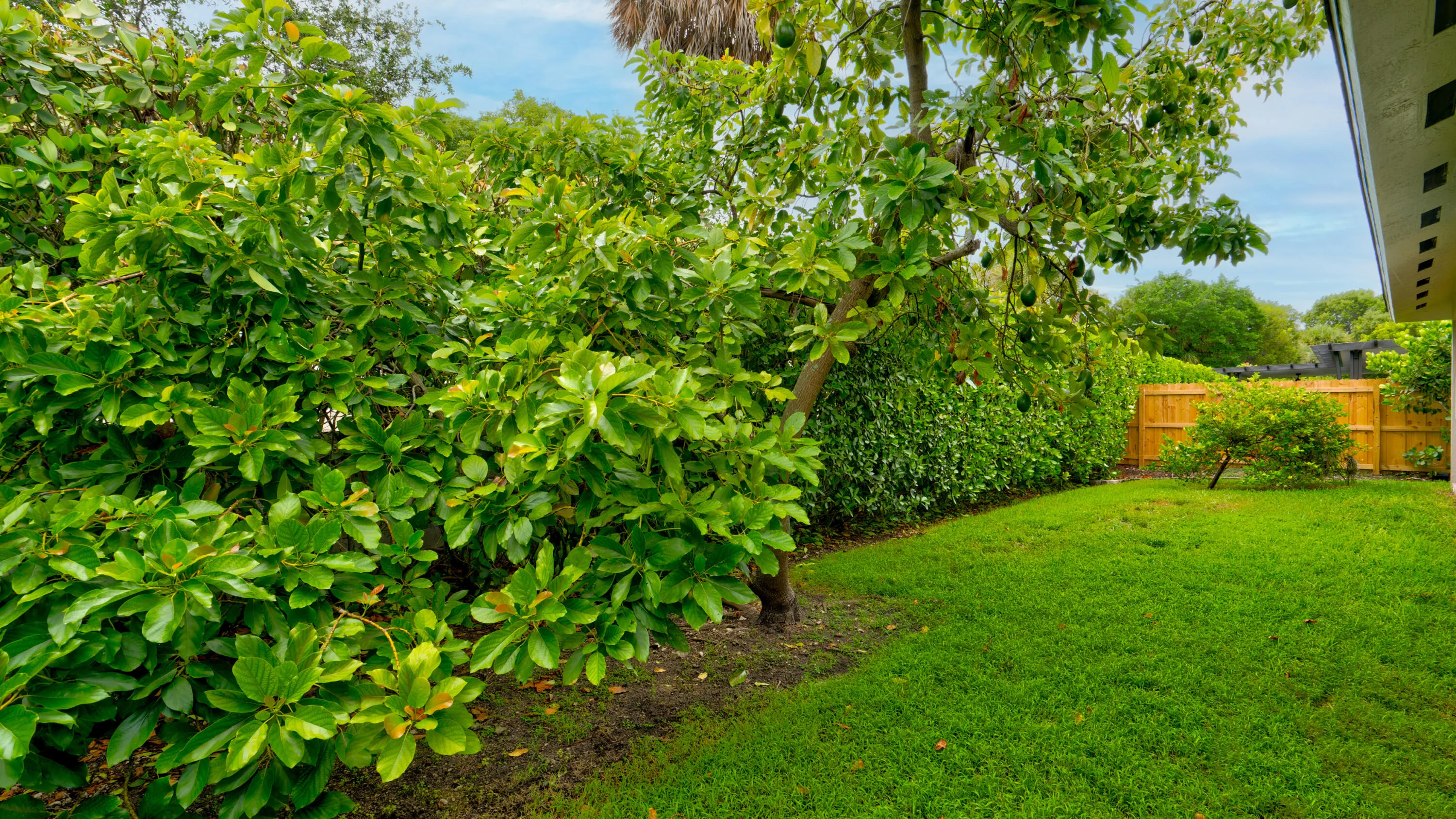 Property photo 34