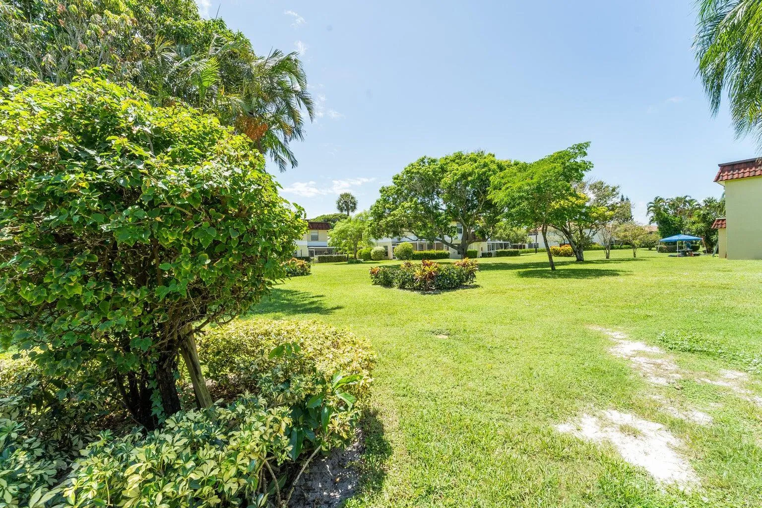 GREEN SPACE