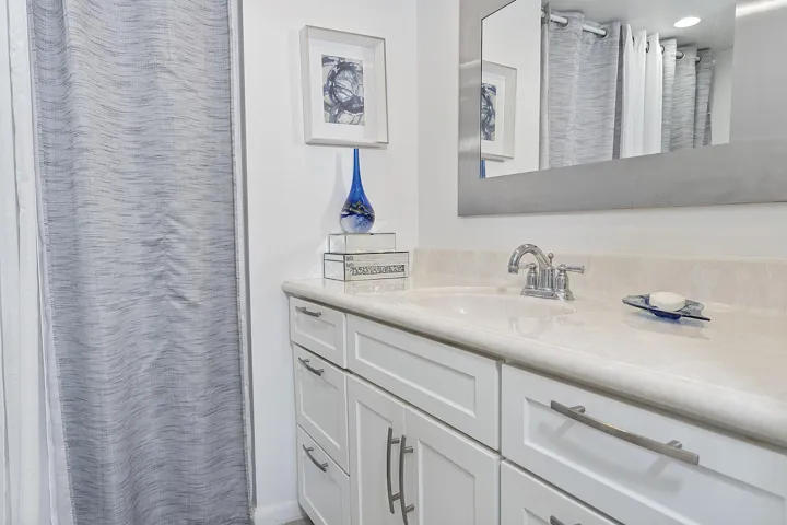 Master Bathroom - tub/shower combination