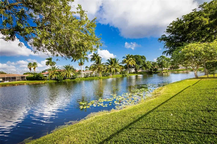 Beautiful lake view