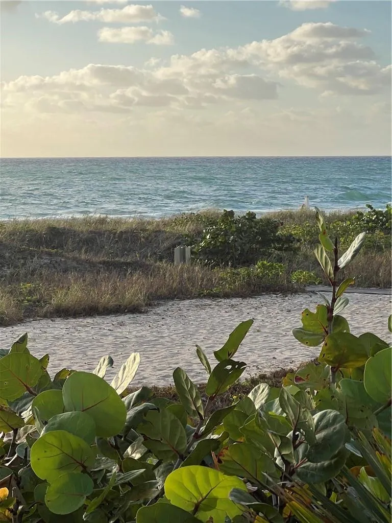 Ocean front