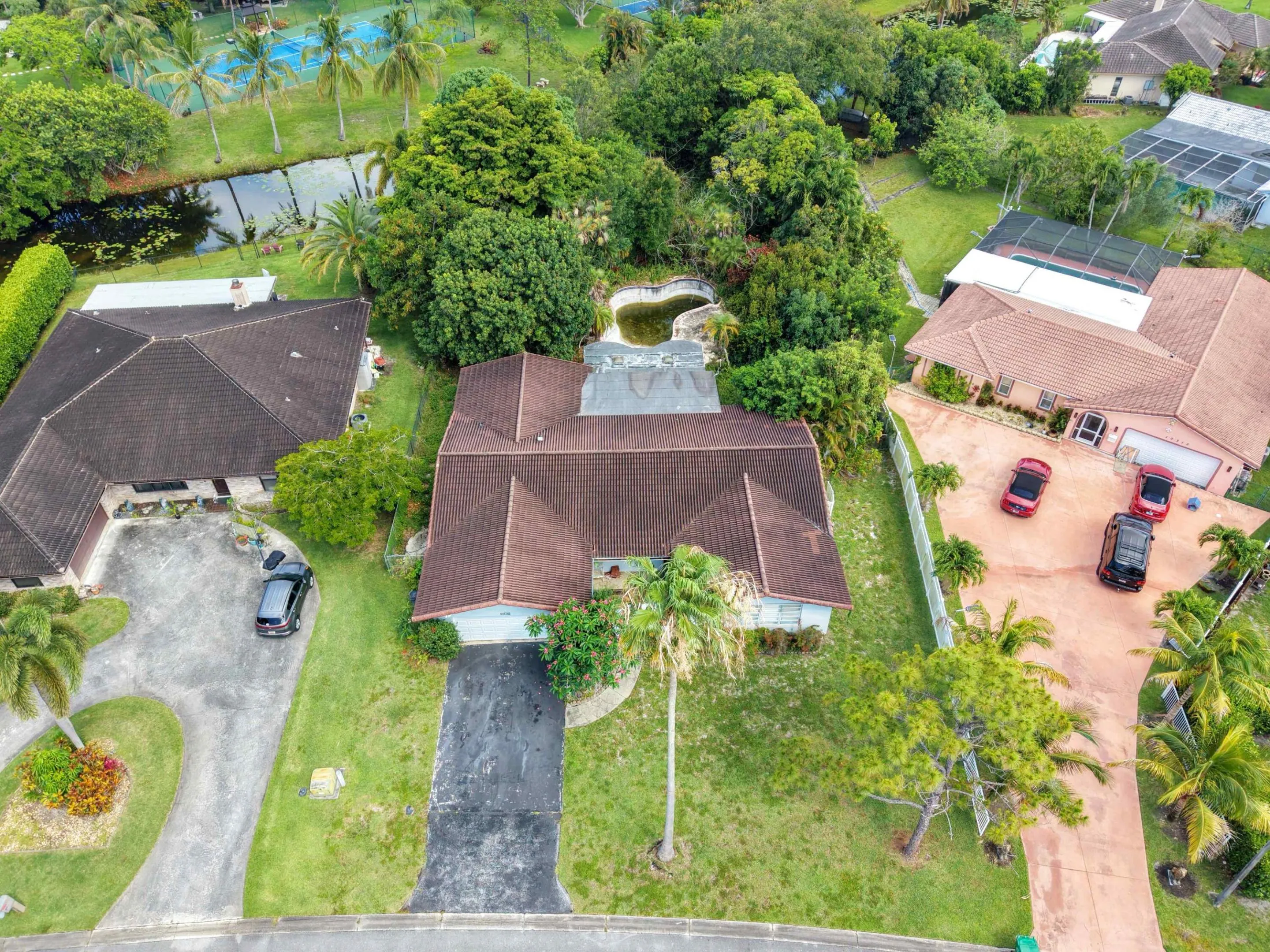 Bird Eye Front