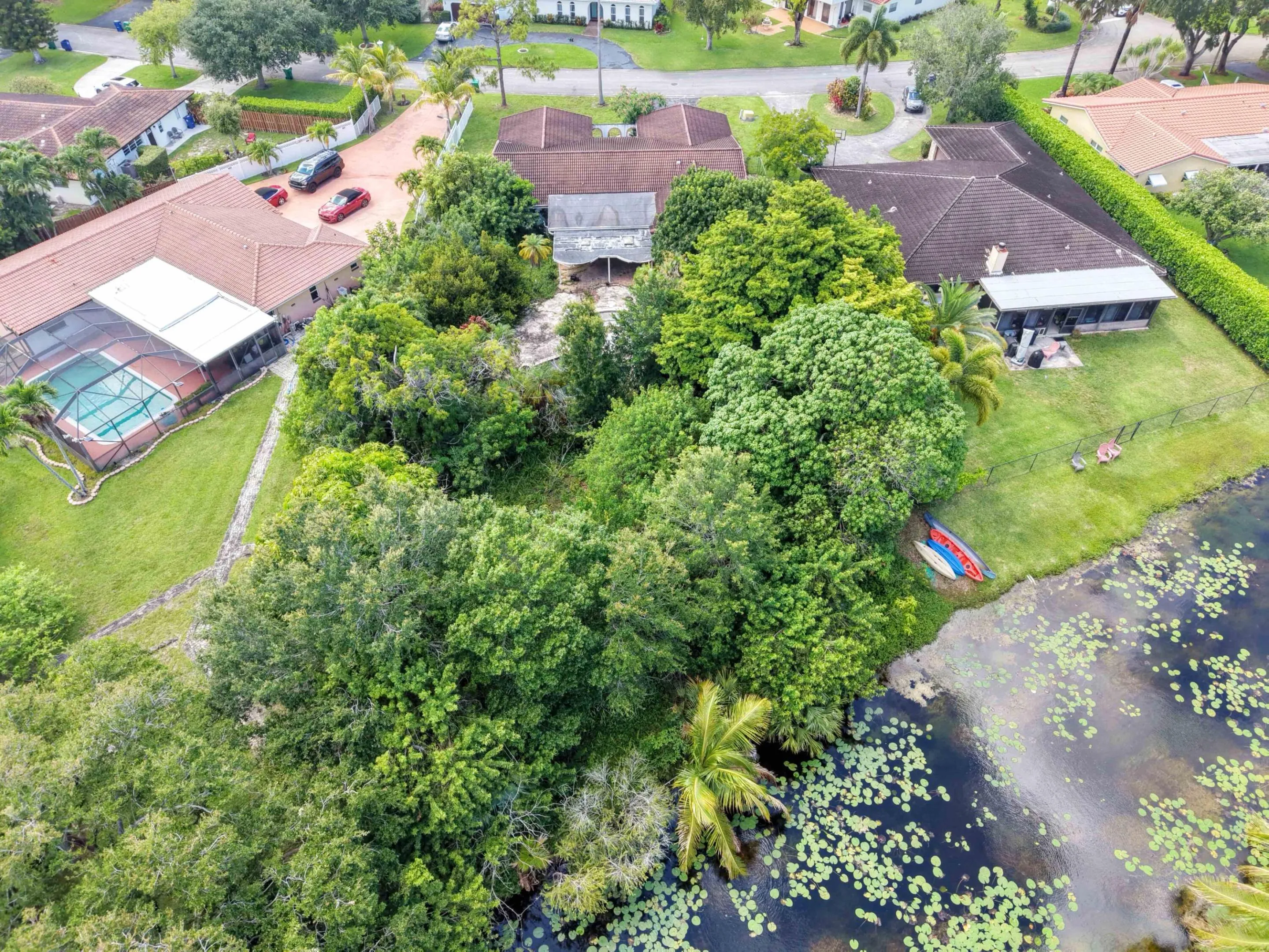 Bird Eye Rear