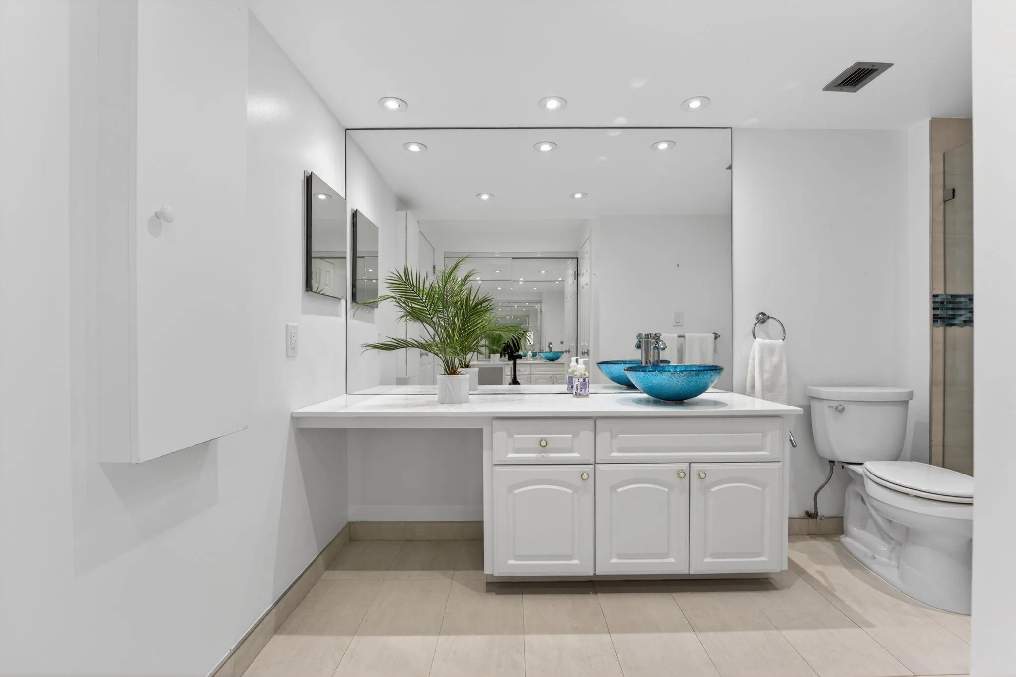 Vanity Area