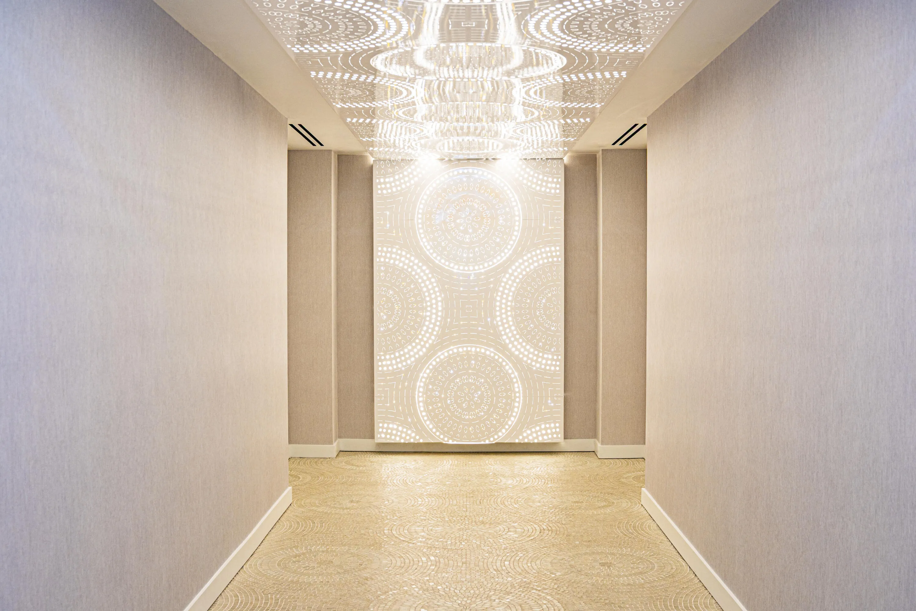 Alina 220 Spa Entrance (1)
