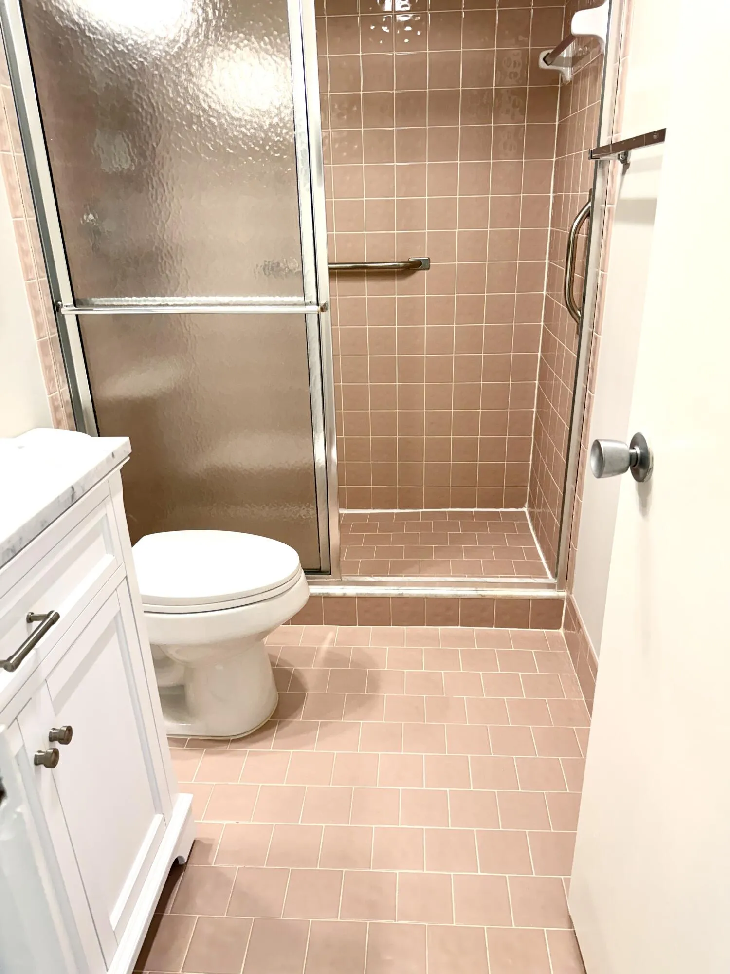 Walk-in shower and grab bars.