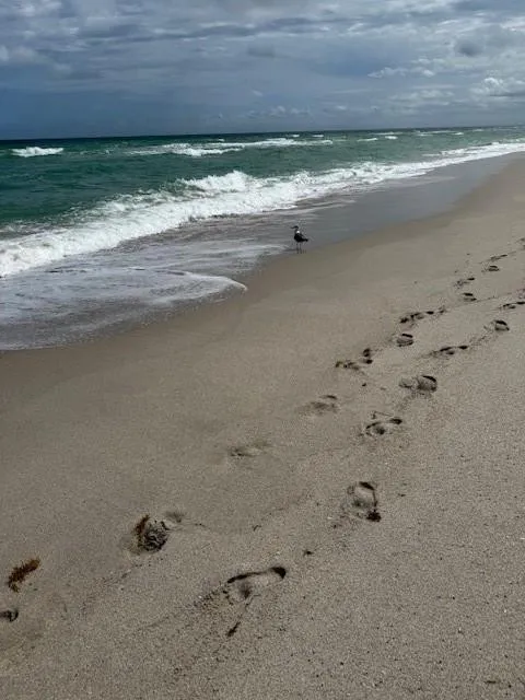 Parker Tower Beach heading south