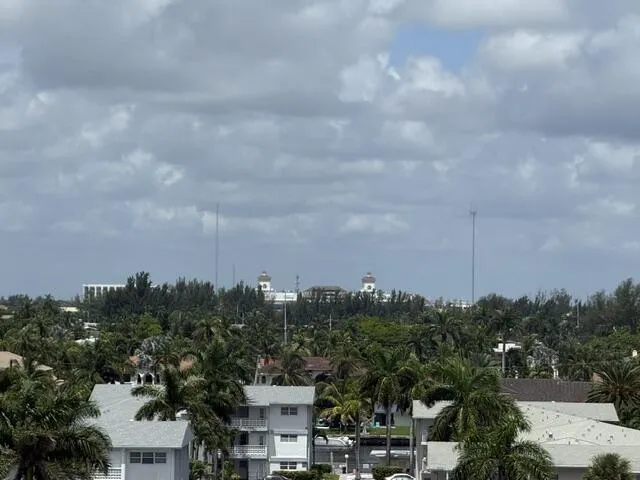 view
