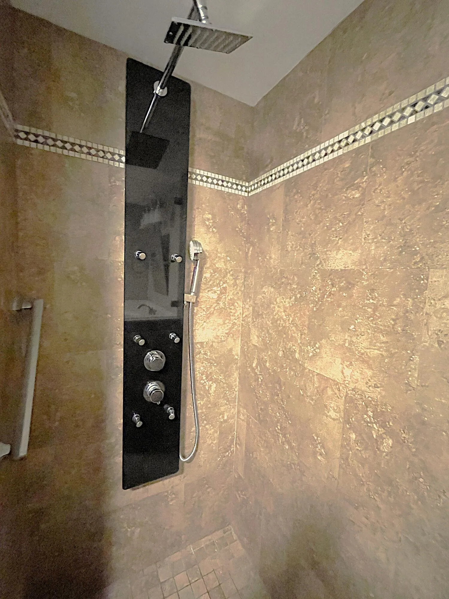 Primary Bathroom Shower