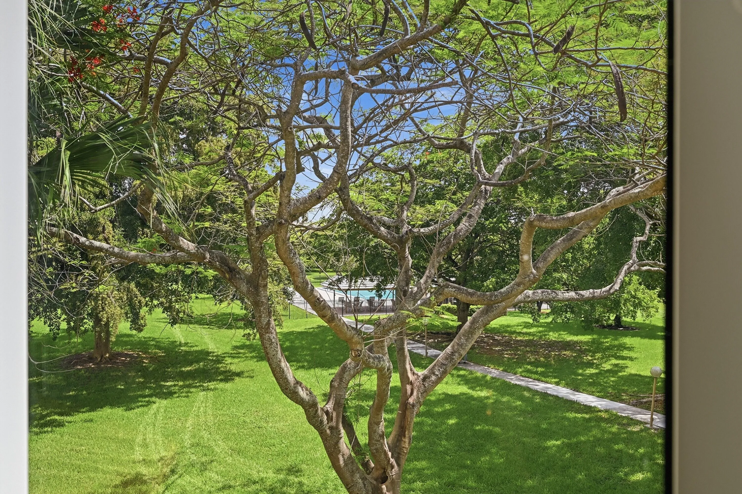 30_stl_6589